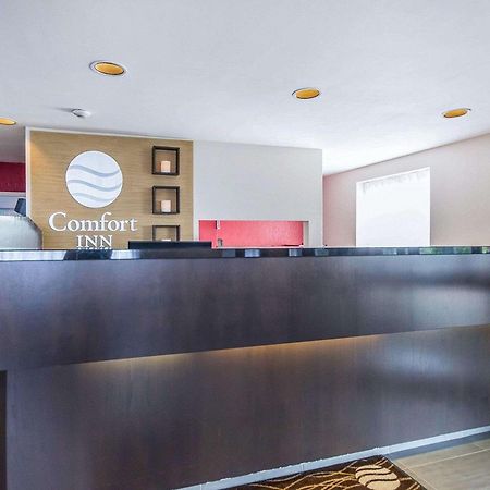 Comfort Inn East Sudbury Exterior foto